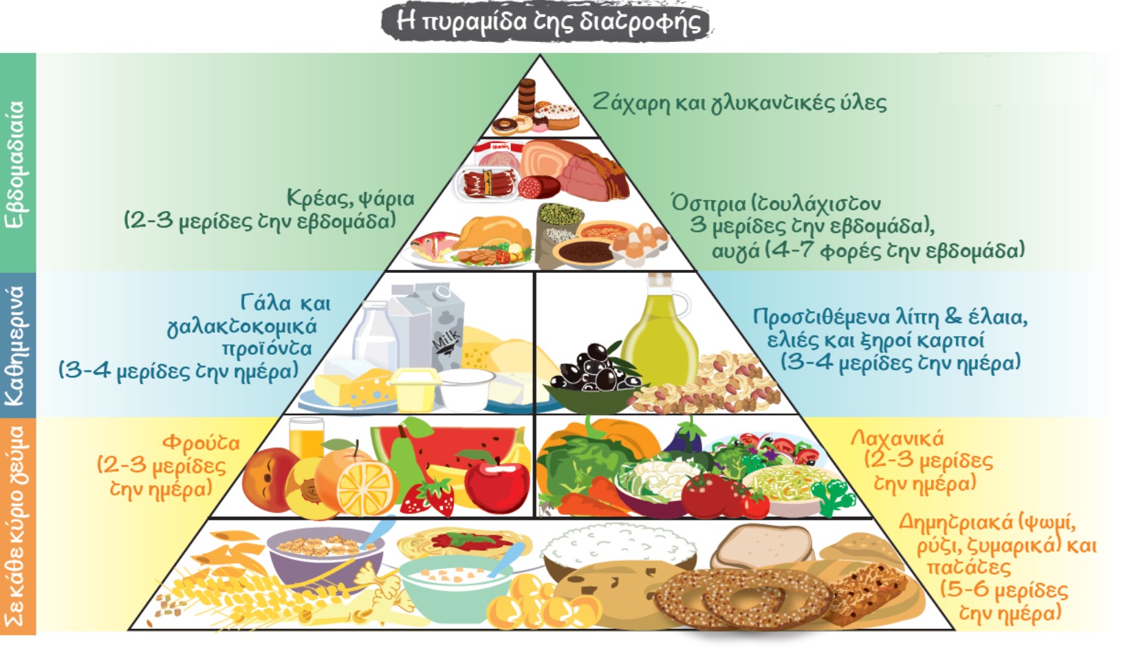 πυραμίδα διατροφής